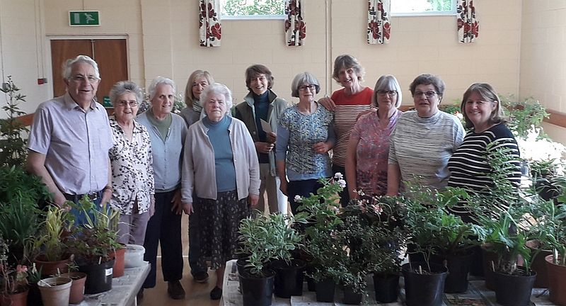 Read more about the article Plant Sale 2020